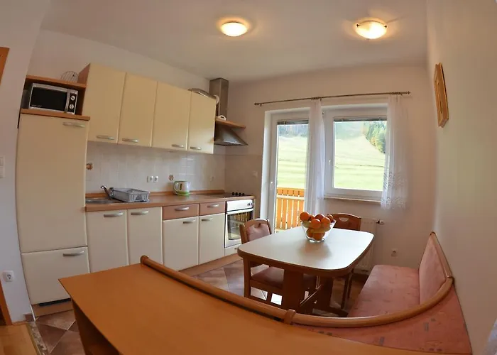 Rozic 公寓 克拉尼斯卡戈拉